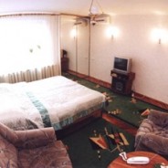 1-room Kiev apartment #046